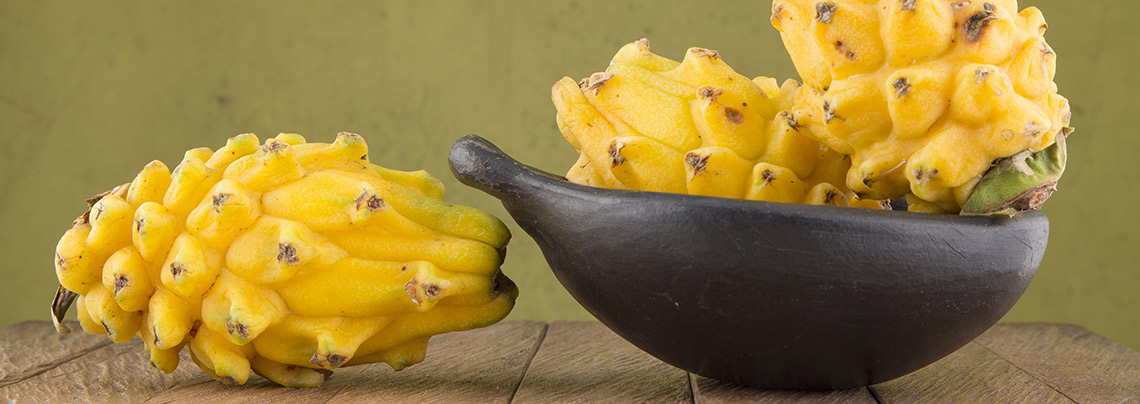 Pitahaya Amarilla
