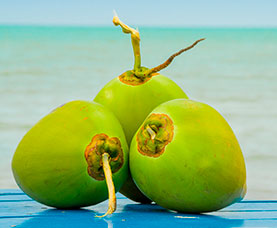 Coco-Agua-Isal-Bonita