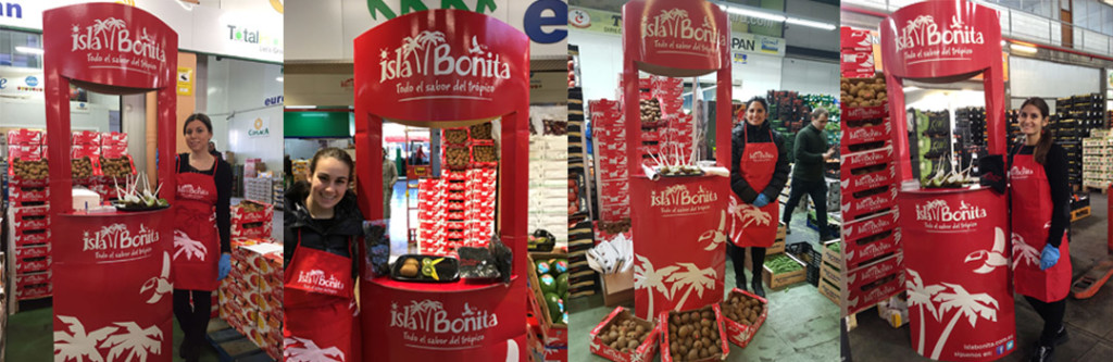 Degustaciones kiwi Isla Bonita 2018