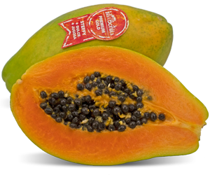 Papaya-steffy